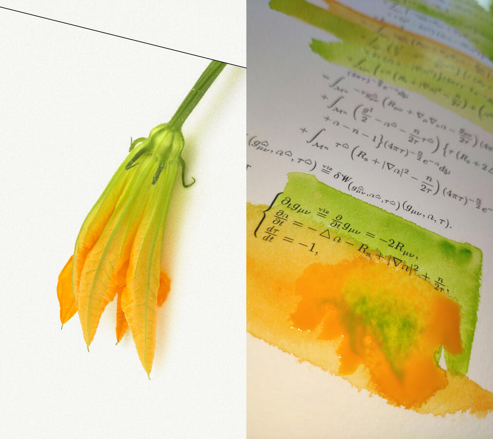 3=1/05-23.216[2]_3 Edoardo Niccolai