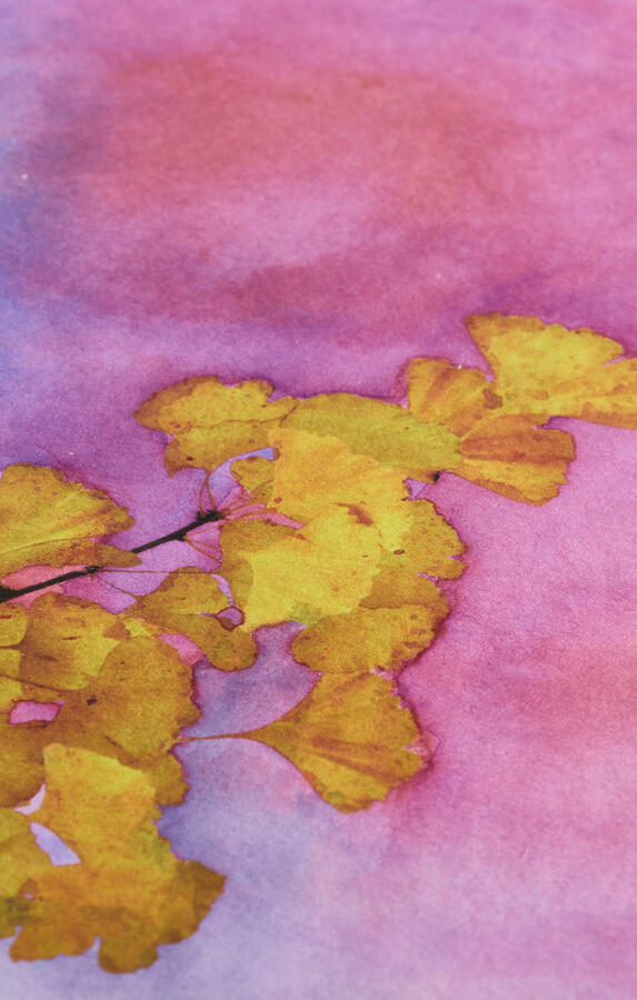 1=05-23g22 Edoardo Niccolai