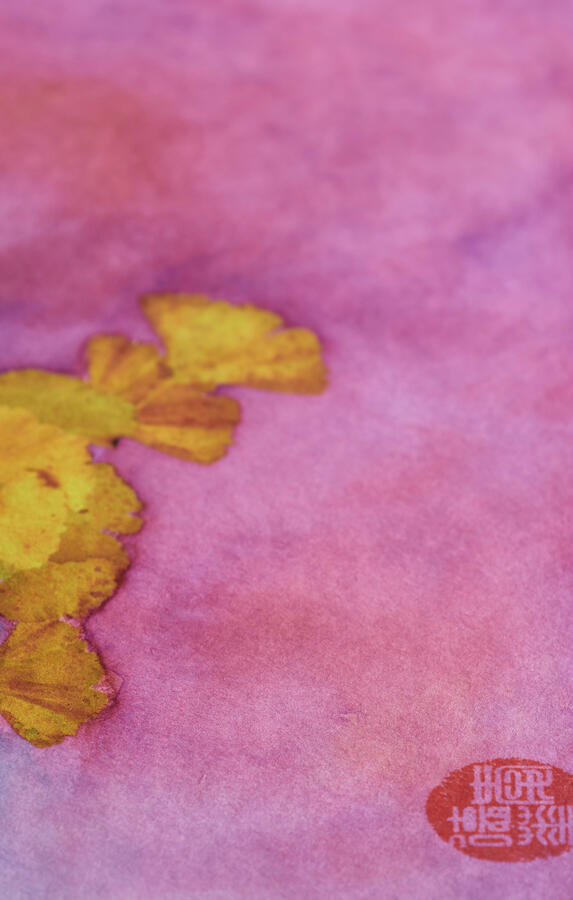 1=05-23g23 Edoardo Niccolai